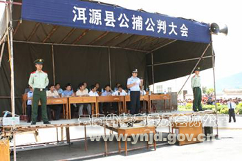 大理州举办公捕公判大会销毁毒品1002507千克图