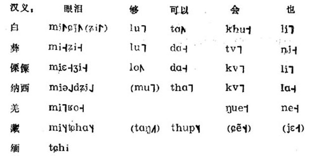 白语中有和藏缅族语言在语音上相近或几乎相同的语词,上图为例(都用