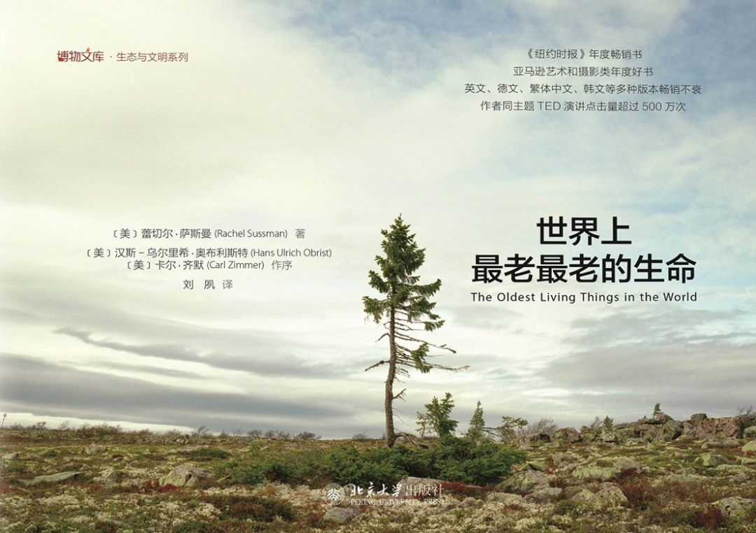 好书推荐:《世界上最老最老的生命》