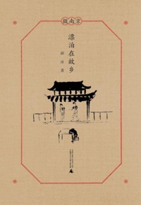 好书推荐：《漂泊在故乡》