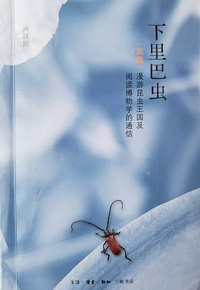 好书推荐：《下里巴虫(图卷、文卷)》