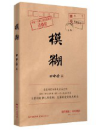 好书推荐：《模糊》