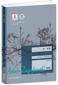 好书推荐：《另一种美》