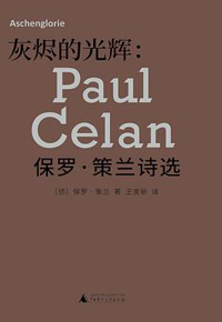 好书推荐：《灰烬的光辉》