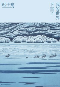 好书推荐：《我的世界下雪了》
