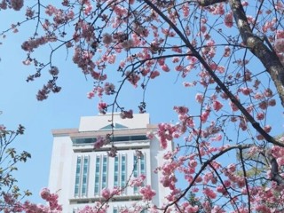 精美礼品等着你|墨韵添年味——云图马年诚邀读者共赴一场数字书香之约