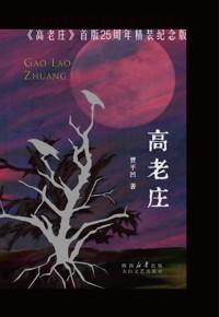 好书荐读：《高老庄》