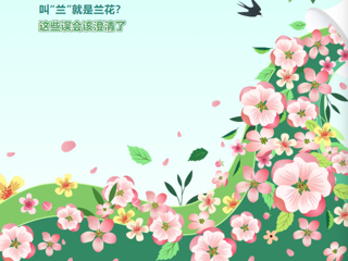 文化惠民·每周一展丨叫“兰”就是兰花？这些误会该澄清了