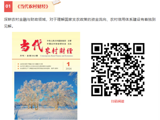 归乡偶书：从“千万工程”到田间地头，寻找振兴的答案