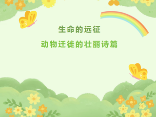 【视界探知】第34期—— 生命的远征：动物迁徙的壮丽诗篇