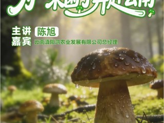 云南省图书馆旅游分馆活动预告