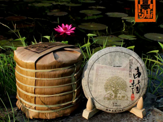 活动预告丨“地方志里的云南茶”品读会