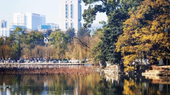 服务提质，书香致远|2026年“云南省公共图书馆服务宣传周”暨“4·23世界读书日”系列活动邀您共赴“全民阅读”焕新之旅