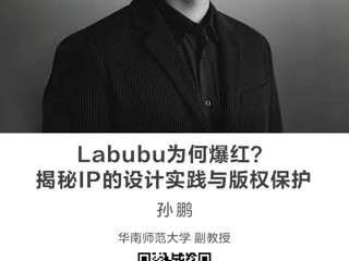 名师讲坛|Labubu为何爆红？揭秘IP的设计实践与版权保护