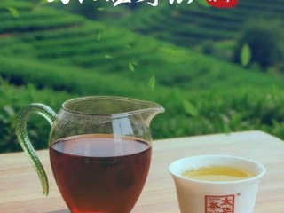 云南省图书馆旅游分馆明日活动预告