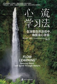 好书荐读：《心流学习法》
