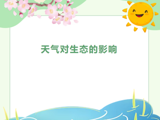 【视界探知】第38期——涨知识！4 部纪录片，看懂天气怎么养活大自然