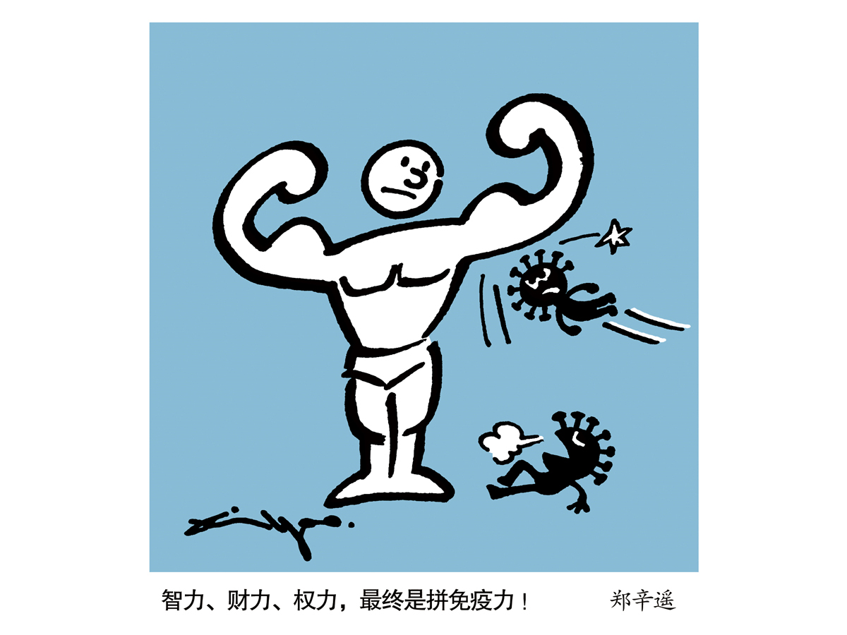 郑辛遥《智力、财力、权力，最终是拼免疫力！》