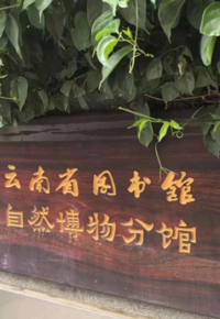 云图自然博物分馆周末分享会预告