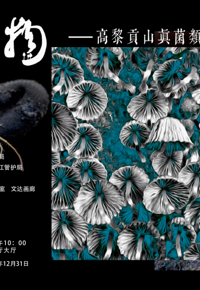 云图展讯 | 蘑幻菌物——高黎贡山真菌类多样性摄影艺术展