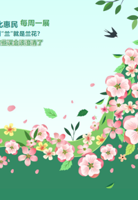 文化惠民·每周一展丨叫“兰”就是兰花？这些误会该澄清了