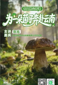 云南省图书馆旅游分馆活动预告