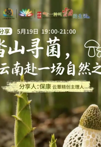 云南省图书馆旅游分馆今晚活动预告