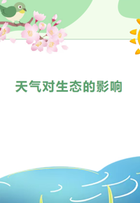【视界探知】第38期——涨知识！4 部纪录片，看懂天气怎么养活大自然