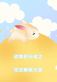 【视界探知】第40期——动物初长成之花式睡眠大赏