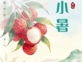 我们不必成为诗人，但要做心中有诗的人丨小暑专辑