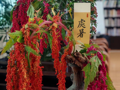 活动预告丨二十四节气雅集之处暑雅集