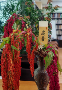 活动预告丨二十四节气雅集之处暑雅集