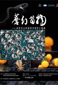 蘑幻菌物——高黎贡山菌类多样性摄影艺术展