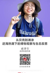 名师讲坛|从贝壳到滩涂——赶海热潮下的博物观察与生态反思